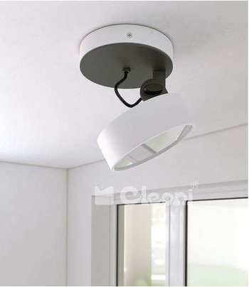 Lampa wewnętrzna, sufitowa Cleoni DOT