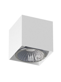 Lampa wewnętrzna, sufitowa Cleoni Tito D2 T113D2116