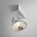Lampa wewnętrzna, sufitowa Aqform Ceres 111x1 R spot 13 