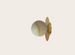 Robin Royal Disc, Alabaster
