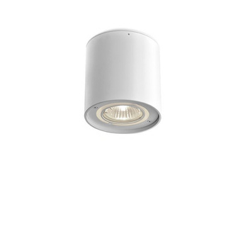 Lampa wewnętrzna, sufitowa Aqform Tuba 50 230V surface 13