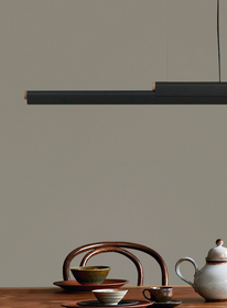 Lampa wewnętrzna, wisząca Robin Rudi, Czarny mat