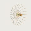 Lampa wewnętrzna, ścienna Aromas Spider 5/30